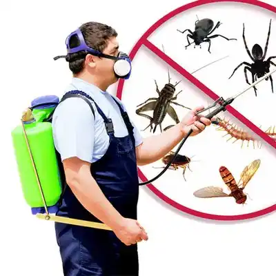 pest control Seven Hills